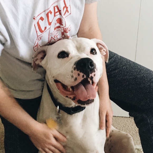 Meet your Posher, Jenn - Picture 1 of 1